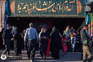 زائران پیاده امام رضا علیه&zwnj;السلام-2