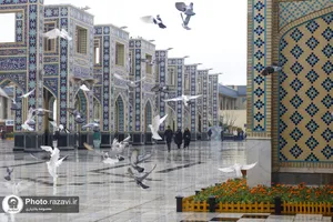 اولین چهارشنبه سال 1404 در حرم مطهر رضوی