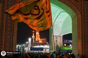 حال و هوای شب شهادت امام رضا علیه السلام