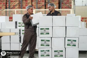 آماده&zwnj;سازی 10هزار بسته معیشتی برای مردم غیور لبنان