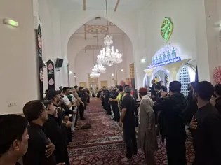  برگزاری سوگواره زائران اردو زبان به مناسبت شهادت امام مهربانی‌ها 
