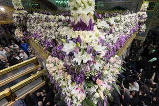 گل‌آرایی ضریح مطهر رضوی در آستانه ولادت امام رضا علیه‌السلام