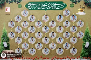 دیدار خانواده&zwnj;های شهدای جمعیت هلال احمر با تولیت آستان قدس رضوی