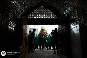 گل&zwnj;آرایی ضریح مطهر رضوی در آستانه ولادت امام رضا علیه&zwnj;السلام