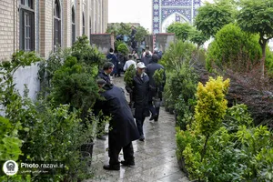 ورود کاروان گل&zwnj;های اهدایی به حرم مطهر رضوی