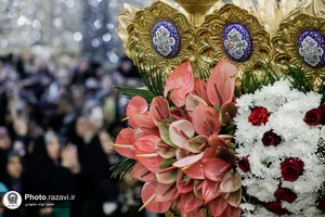 گل آرایی ضریح مطهر حضرت معصومه سلام الله علیها در آغاز دهه کرامت