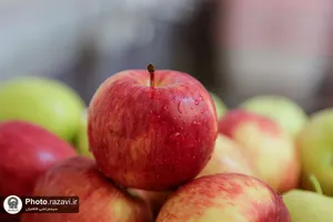 پذیرایی خادمیاران استان آذربایجان غربی از زائرین حرم مطهر رضوی