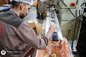 بازدید کارکنان آستان قدس رضوی از شرکت صنایع غذایی رضوی