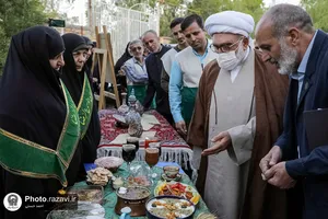همایش خادمیاران رضوی استان همدان