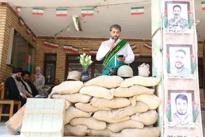 البرز
