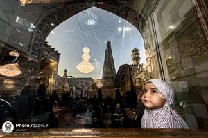 نمایشگاه عکس آرام جان