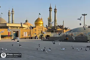 حال و هوای حرم حضرت معصومه(س) در روز ولادت پیامبر اکرم(ص)