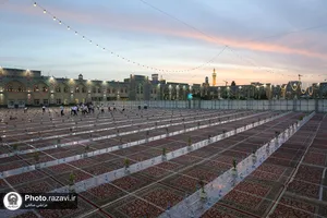 پذیرای از زوار بارگاه منور رضوی در صحن امام حسن مجتبی(علیه&zwnj;السلام)