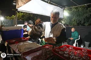 موکب &laquo;دارالکرامه&raquo; امام رضا علیه&zwnj;السلام در باغ&zwnj;اردوگاه خاتون