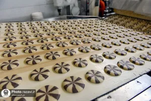 بازدید کارکنان آستان قدس از صنایع غذایی و موسسه بذر و نهال رضوی