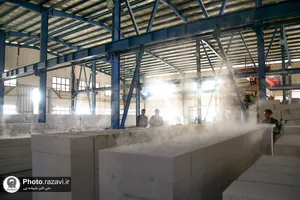 بازدید کارکنان آستان قدس رضوی از کارخانه هبلکس رضوی