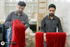 بازدید کارکنان حرم مطهر از شرکت فرش آستان قدس رضوی