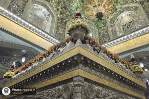 گل آرایی ضریح مطهر رضوی در شب نیمه شعبان