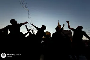 نمایشگاه عکس آرام جان