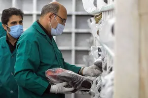 اصلاح و مرمت کفشداری صحن جمهوری اسلامی