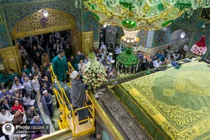 گل آرایی ضریح مطهر رضوی در دهه کرامت