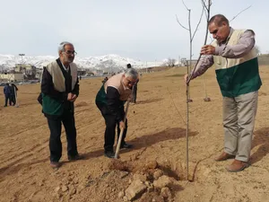 کاشت و غرس نهال توسط سفیران امام مهربانی در بوستان فرزانگان بروجرد