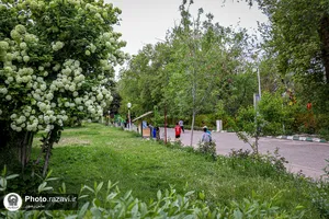 اردوگاه فرهنگی، تفریحی امام رضا علیه&zwnj;السلام