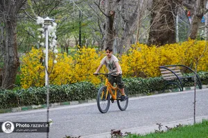 ویژه برنامه مرکز رفاهی امام رضا علیه&zwnj;السلام به مناسبت عید سعید فطر