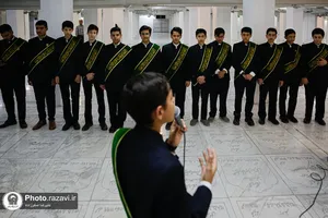 غبارروبی