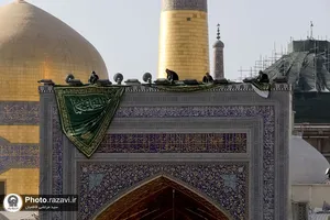 کتیبه&zwnj; های ولادت حضرت فاطمه زهرا سلام الله علیها در حرم مطهر رضوی