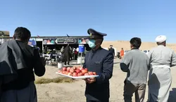 گسترش خدمت دربانان حرم از مسیر‌های ورودی مشهد تا مراکز اسکان زائران
