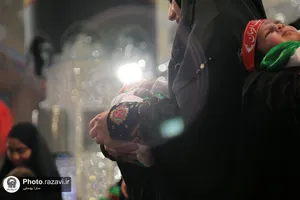 آیین معنوی &laquo;شیرخوارگان حسینی&raquo; در حرم مطهر رضوی