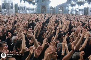 حال و هوای حرم مطهر رضوی در شب تاسوعای حسینی