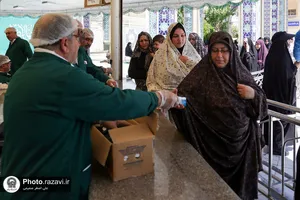پذیرایی از زائران بارگاه منور رضوی توسط هیئت حضرت نرجس(س) عراق-2