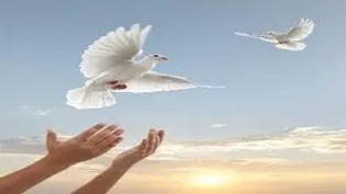 آزادی ۲۲ زندانی جرائم غیر عمد با کمک خادمیاران رضوی گیلان