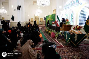 کوثر محبت