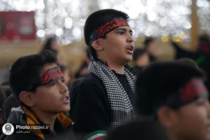همایش &laquo;نوگلان فاطمی&raquo; در حرم مطهر رضوی
