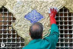 طهور رضوی