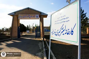 راه&zwnj;اندازی کارخانه کرک&zwnj;زدایی بذر پنبه