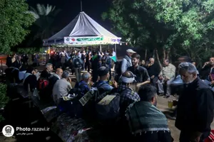 زائران پیاده اربعین حسینی