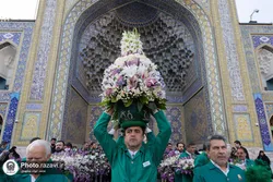 جلوه‌گری۵۰ هزار شاخه گل نذری در صحن و سرای رضوی