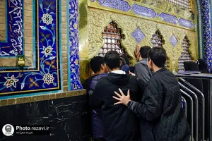 ویژه برنامه بیتوته
