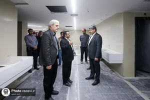 بازدید معاون فرهنگی اجتماعی معاون اول رئیس جمهور از فعالیت&zwnj;های عمرانی حرم مطهر رضوی