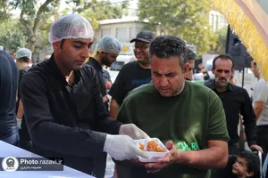 موکب جوانان رضوی