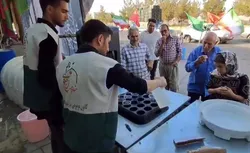 قاب‌هایی ماندگار از خدمت خادم‌یاران عجب شیر به زوار کربلا/ گزارش ویدئویی