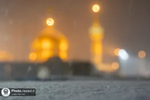 بارش برف پاییزی در حرم مطهر رضوی