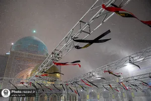 بارش برف پاییزی در حرم مطهر رضوی