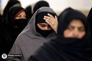 کوثر محبت