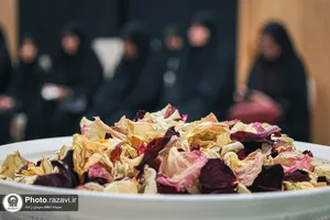 بازدید اساتید بسیجی دانشگاه آزاد اسلامی