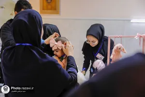 همایش ترویج تغذیه با شیر مادر